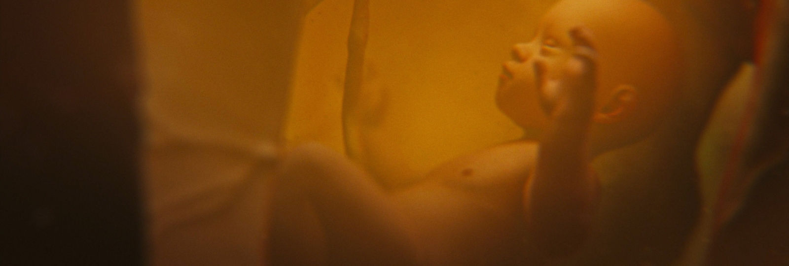 गर्भ में शिशु की ग्रोथ को बढ़ाने के लिए माँ क्या कर सकती है?