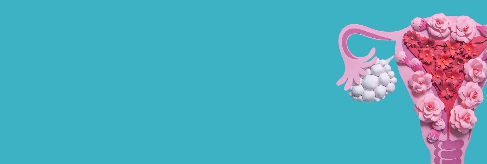 हार्मोनल असंतुलन से अंडाशय की गुणवत्ता पर क्या प्रभाव पड़ता है?