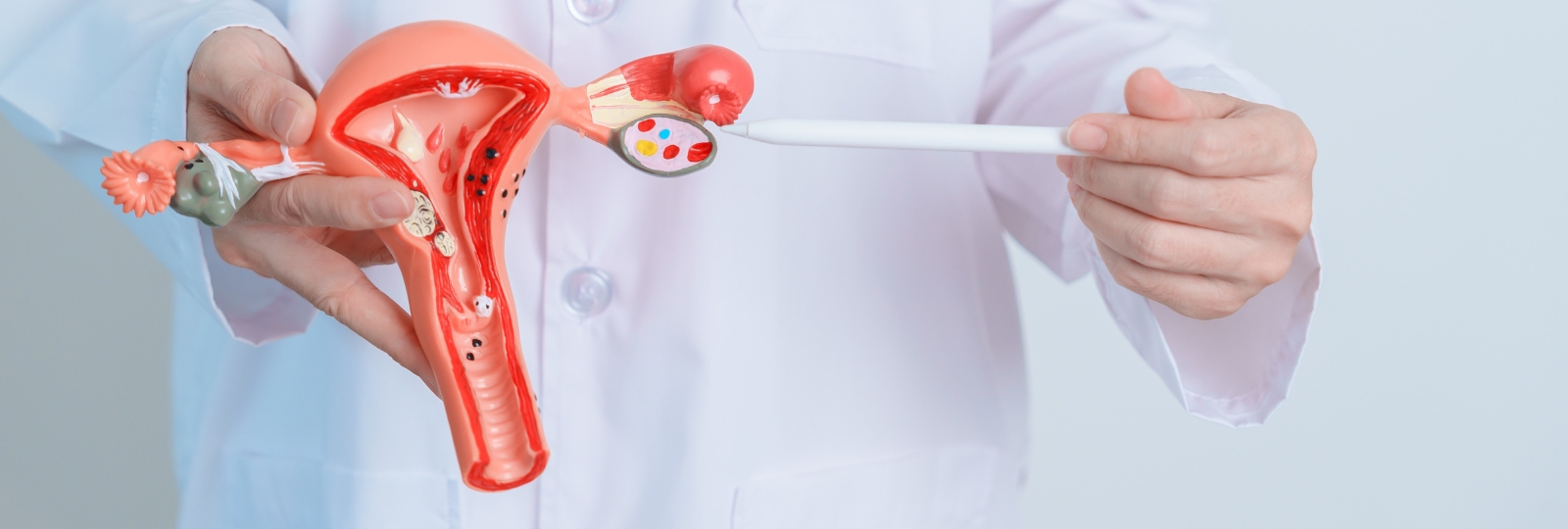 अंडाशय की उम्र (Ovarian Age) कैसे जांचें और इसे हेल्दी बनाए रखें?