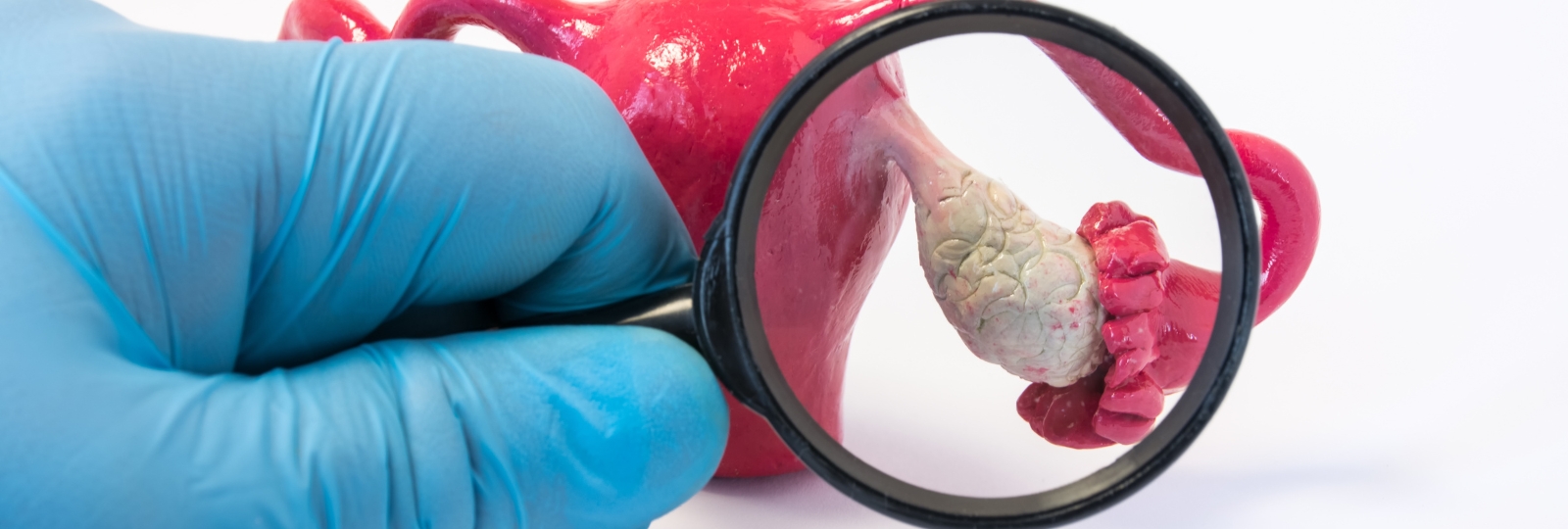 क्या धूम्रपान और शराब का असर अंडाणु की गुणवत्ता पर पड़ता है?