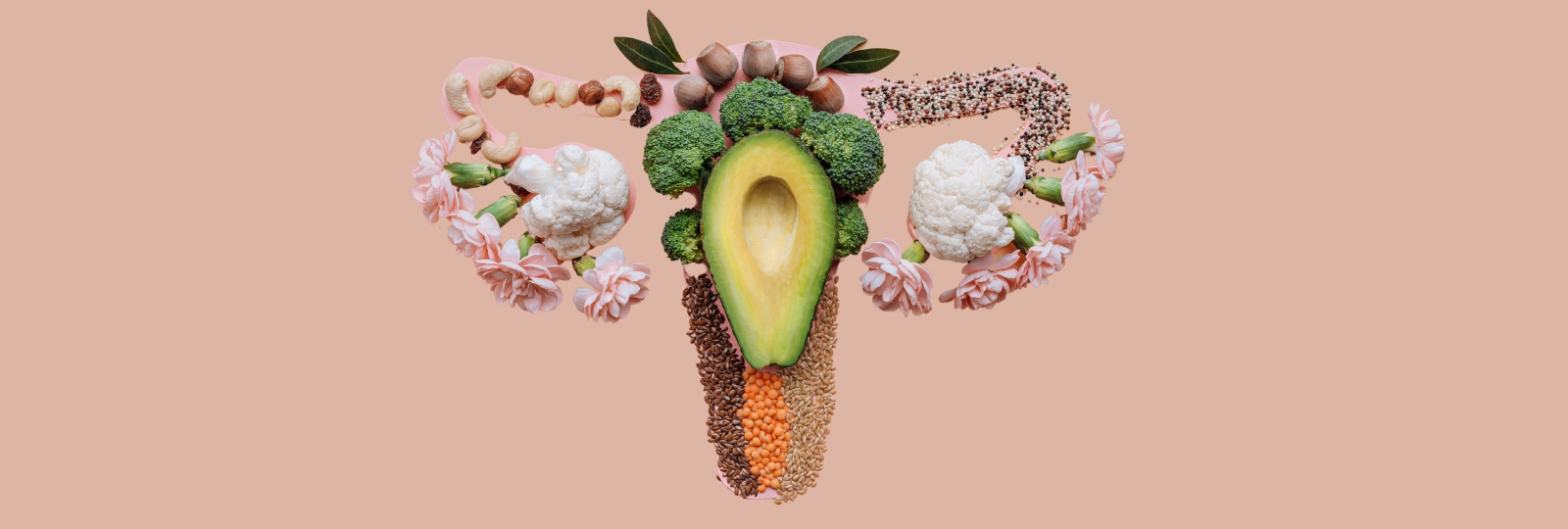 क्या एंटीऑक्सिडेंट्स सप्लीमेंट अंडाणु की क्वालिटी सुधार सकते हैं?